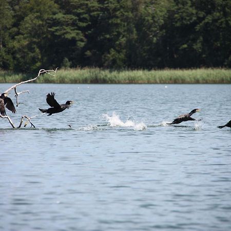 Jw Mazury Domy Wakacyjne Nad Jeziorem-Dom Orzel Waplewo  エクステリア 写真