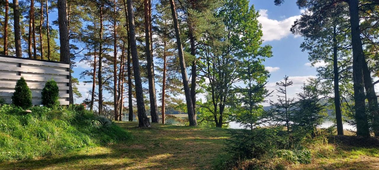 Jw Mazury Domy Wakacyjne Nad Jeziorem-Dom Orzel Waplewo  エクステリア 写真