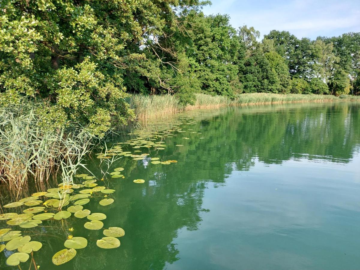 Jw Mazury Domy Wakacyjne Nad Jeziorem-Dom Orzel Waplewo  エクステリア 写真