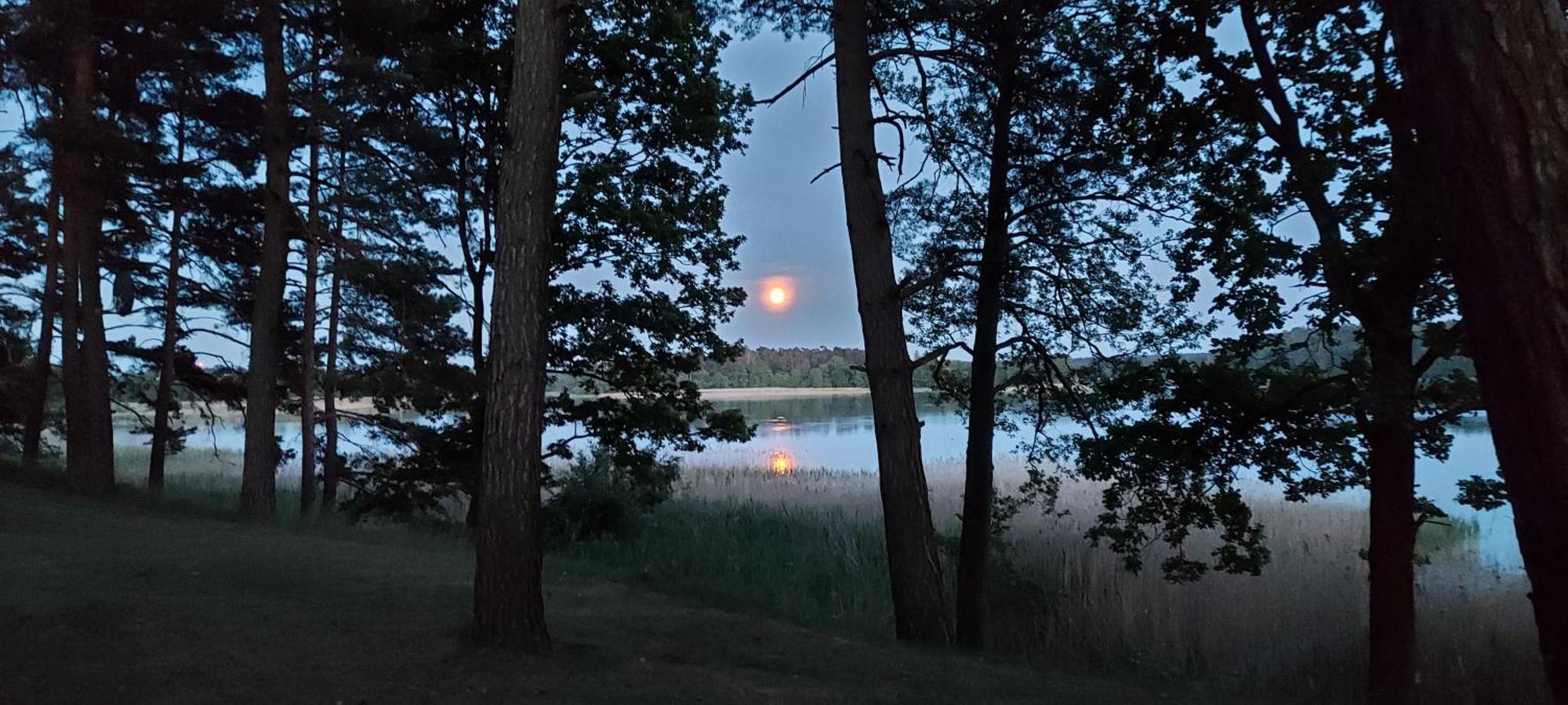 Jw Mazury Domy Wakacyjne Nad Jeziorem-Dom Orzel Waplewo  エクステリア 写真