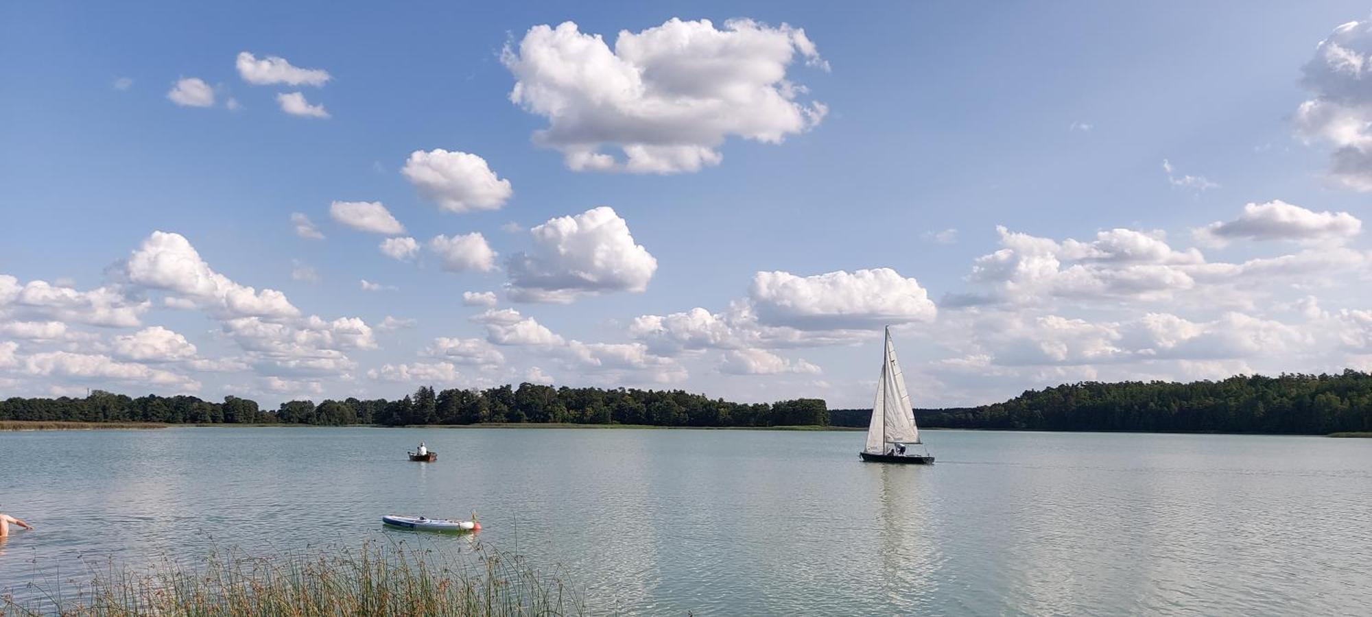 Jw Mazury Domy Wakacyjne Nad Jeziorem-Dom Orzel Waplewo  エクステリア 写真